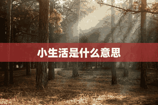 小生活是什么意思(生活是什么意思解释)